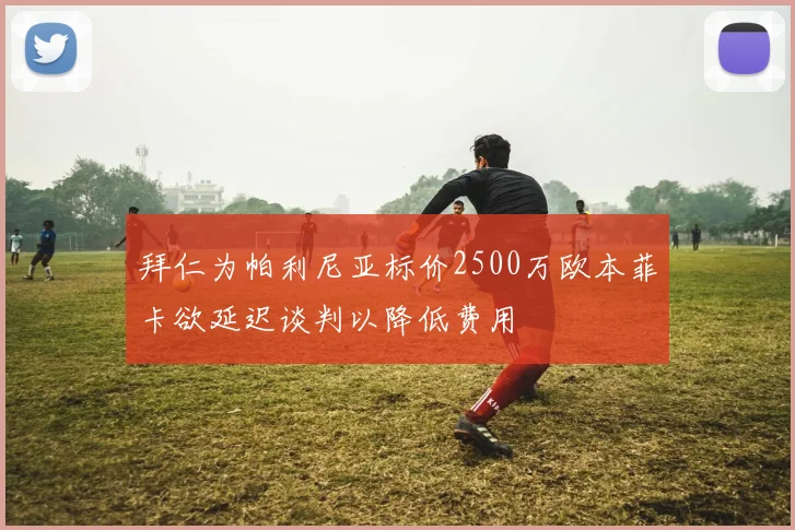 拜仁为帕利尼亚标价2500万欧本菲卡欲延迟谈判以降低费用